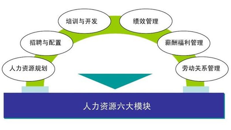 金融行业高级人才寻访：关键步骤与注意事项**